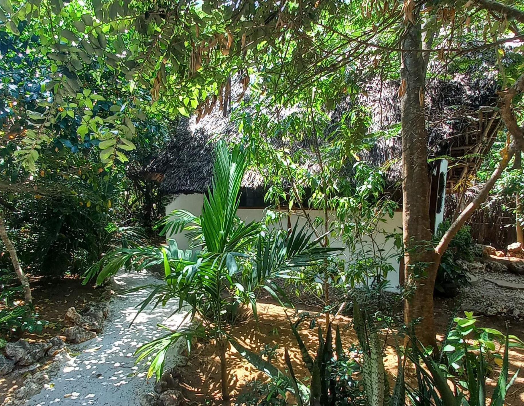 Watamu Beach Cottages B&B Szoba fotó